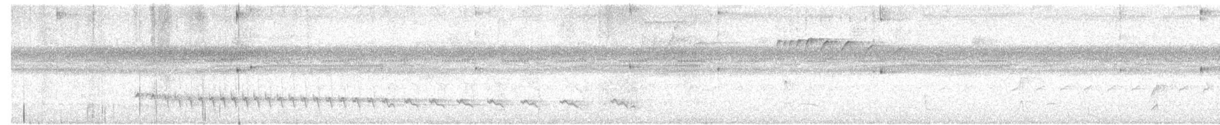 Scrub Greenlet - ML642253231