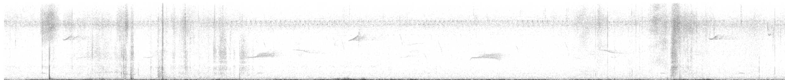 Western Wood-Pewee - ML642254621
