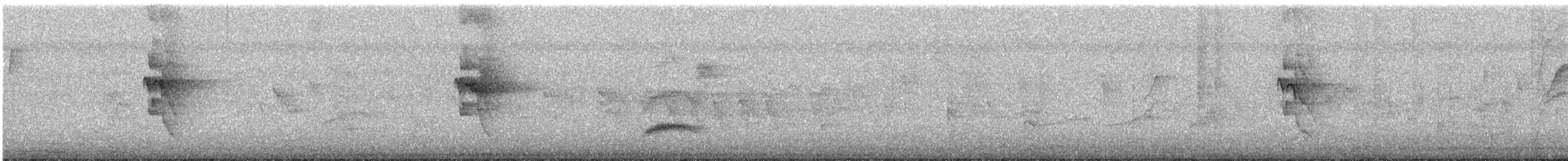 Social Flycatcher - ML642255008