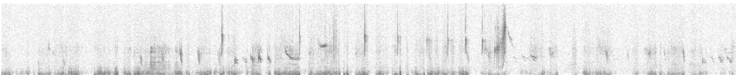 Stummelschwanztyrann - ML642255698