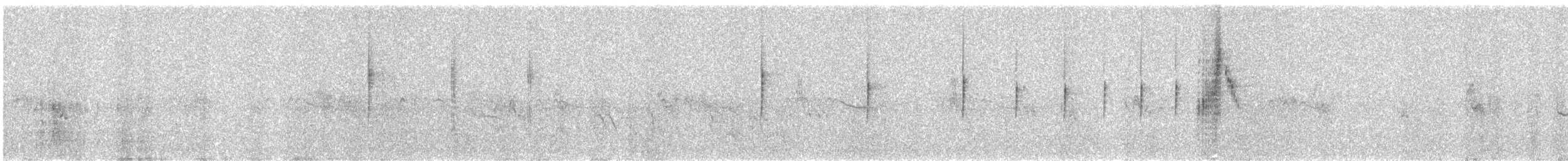 Stummelschwanztyrann - ML642255723