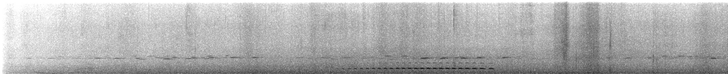 Santa Marta Screech-Owl - ML642258055