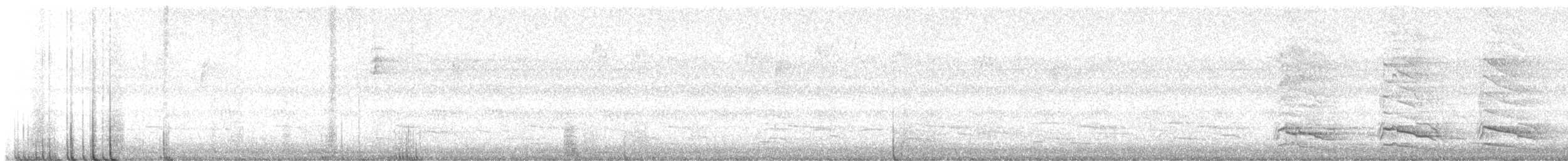 káně páskovaná - ML642258807