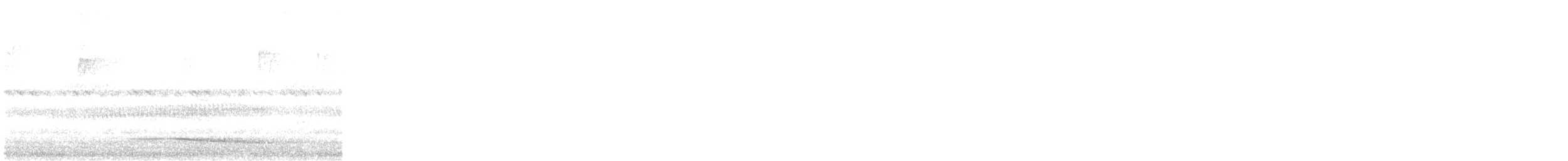 Chouette leptogramme - ML642259151