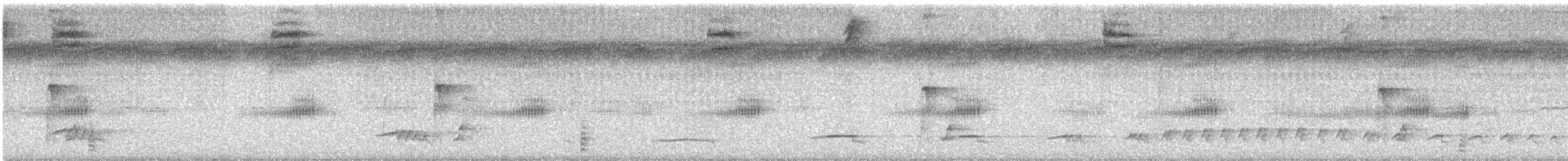 Lesser Ground-Cuckoo - ML642260689