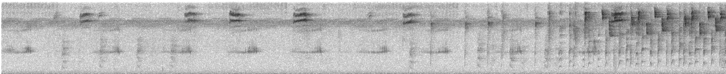 Stripe-headed Sparrow - ML642260755