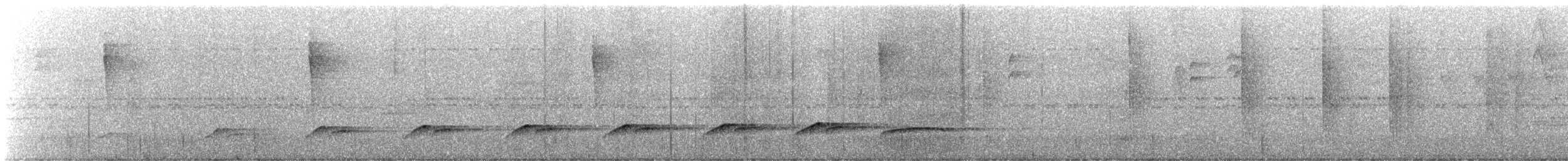Bright-rumped Attila - ML642261879
