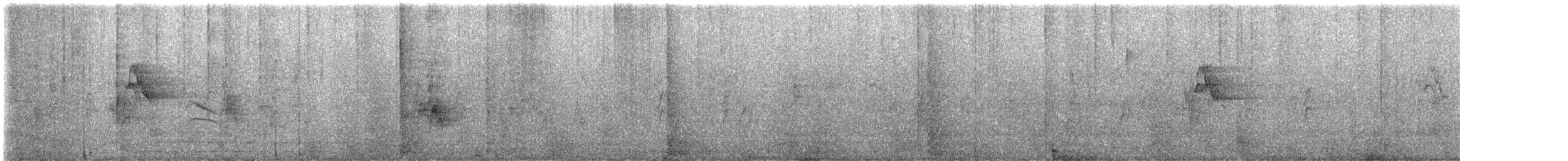 Bergeronnette grise - ML642264963