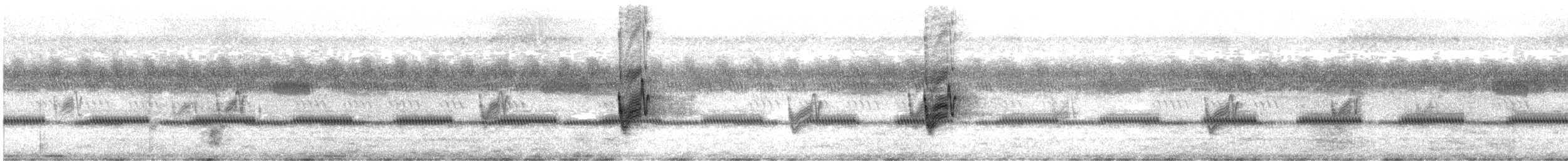 Savanna Nightjar - ML642265047