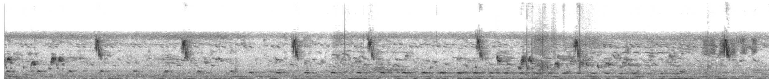 Bengalenkuckuck - ML642265558