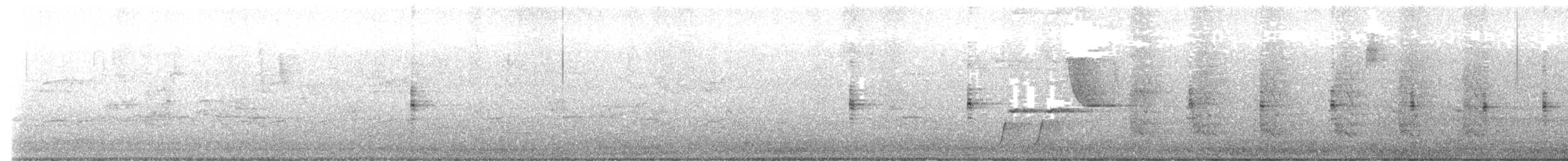 Lewin's Rail - ML642268642