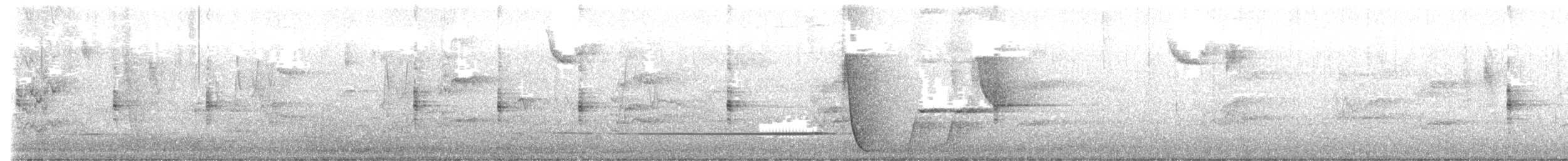 Lewin's Rail - ML642268643