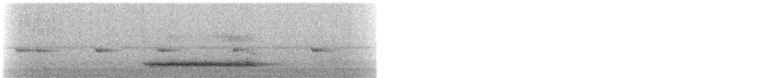 Western Barn Owl - ML642268800