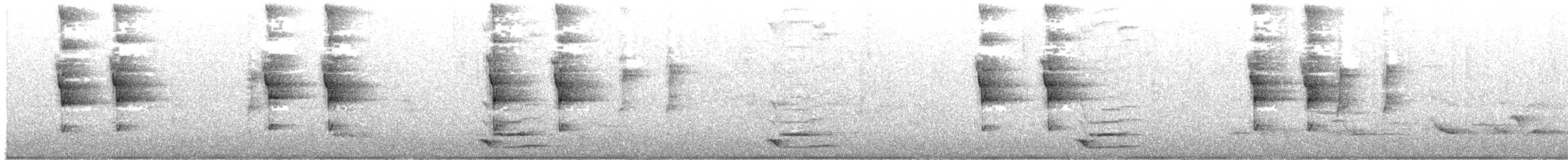 North Island Saddleback - ML642269309