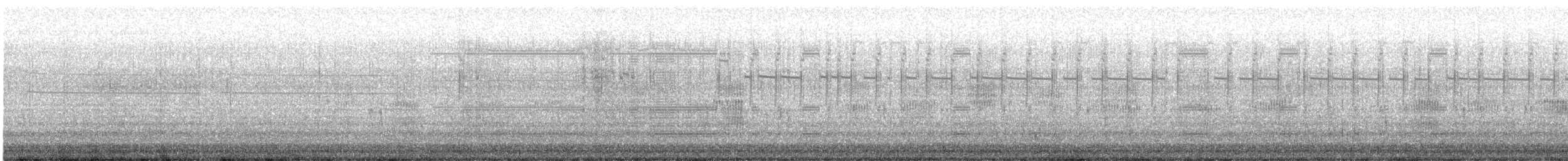 Boat-tailed Grackle - ML642269741