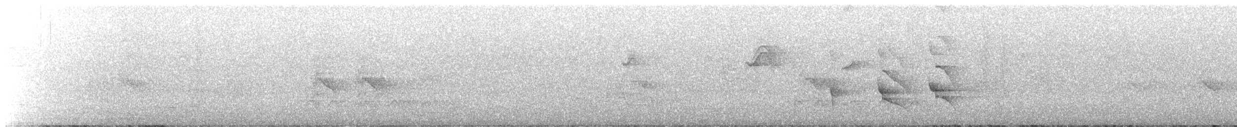 Serra do Mar Tyrant-Manakin - ML642269748