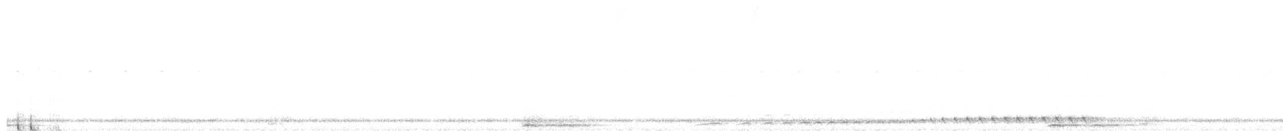 Chotacabras Bigotudo - ML642270407