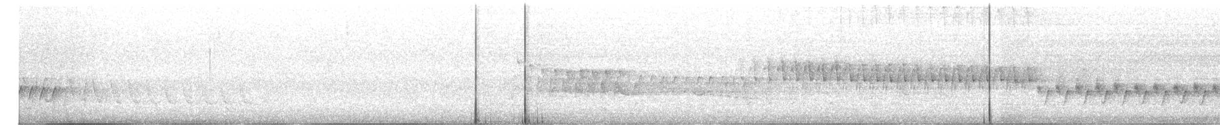 White-winged Triller - ML642271888
