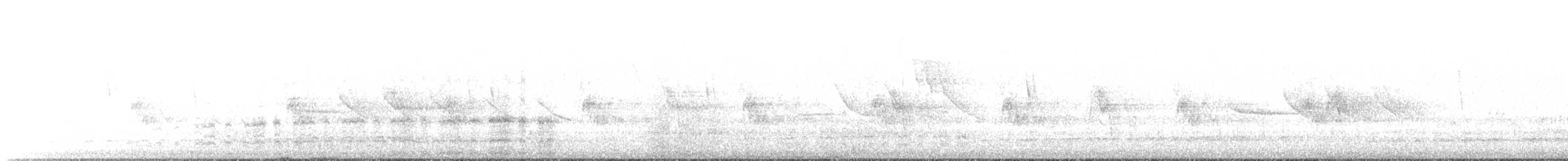 Magellanic Snipe - ML642272713