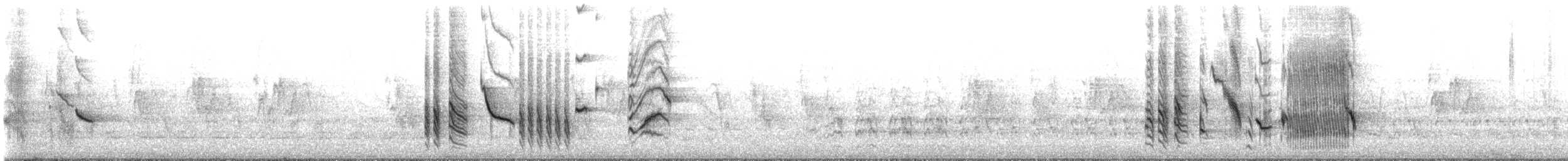 Austral Blackbird - ML642272721