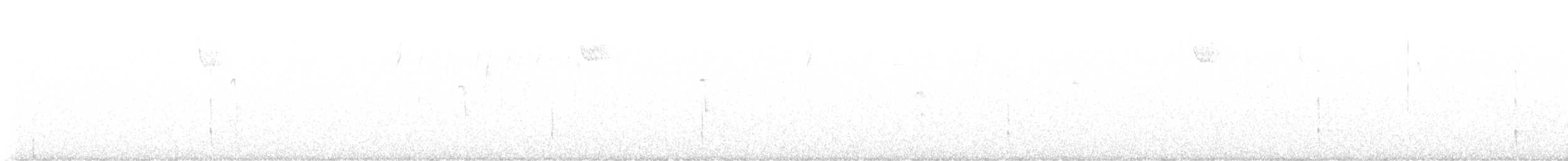 Black-backed Woodpecker - ML642273008