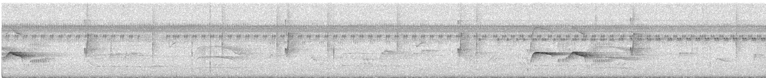Southern Antpipit - ML642275172