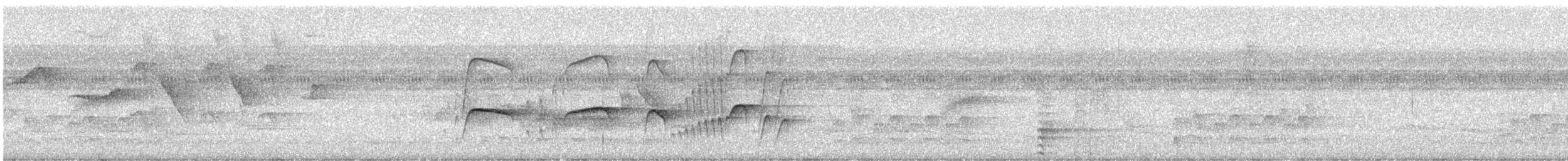 Southern Antpipit - ML642275173