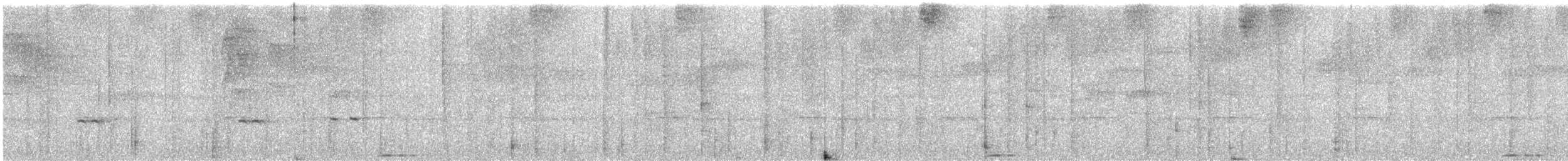 Rufous Motmot - ML642276691
