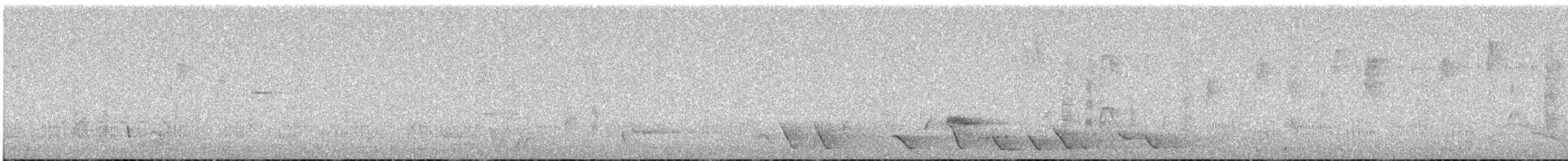 Brown Thornbill - ML642278225