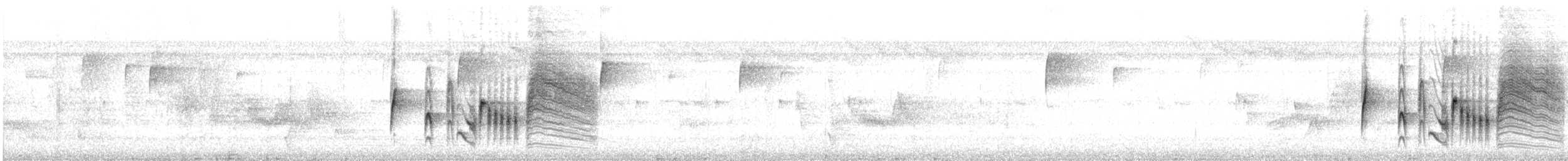 White-eyed Vireo - ML642278486