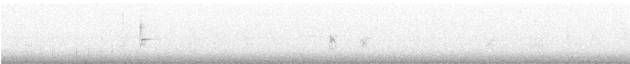 Pipit de Richard - ML642280420