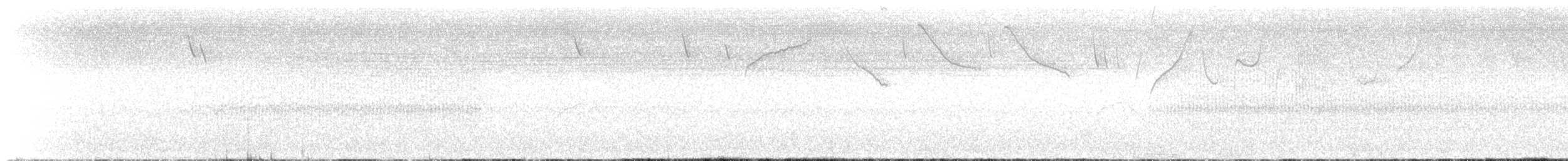 Picogrueso Humeral - ML642281679