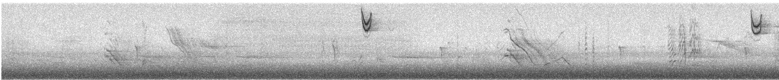 Song Sparrow (melodia/atlantica) - ML642281691