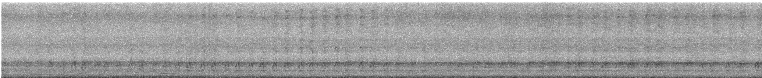 Pileated Woodpecker - ML642284184