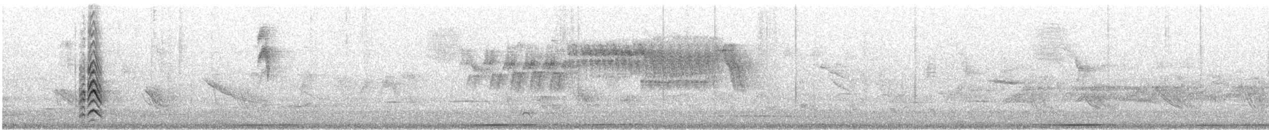 Apical Flycatcher - ML642285318
