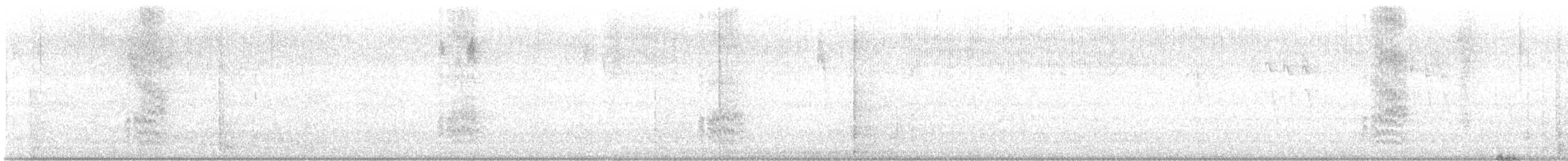 Acorn Woodpecker - ML642290585