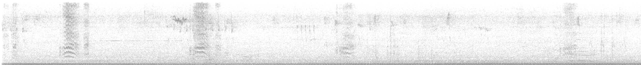 Acorn Woodpecker - ML642290591