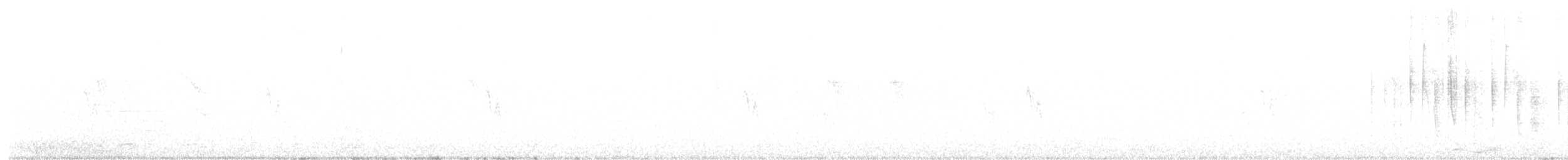 アカフタオハチドリ - ML642291242