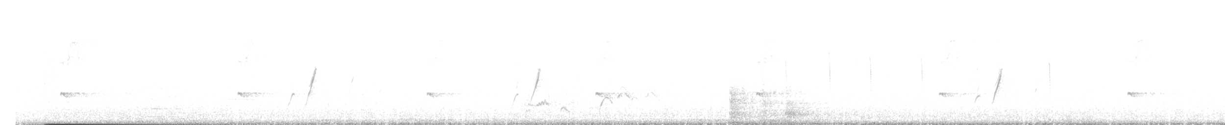 kaktusspottefugl (palmeri gr.) - ML642292431