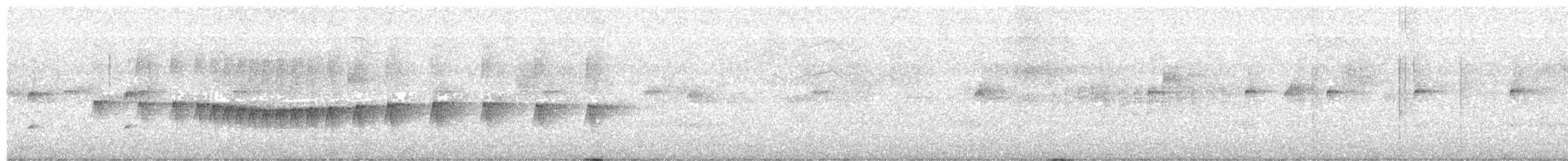 Lesser Woodcreeper - ML642292462