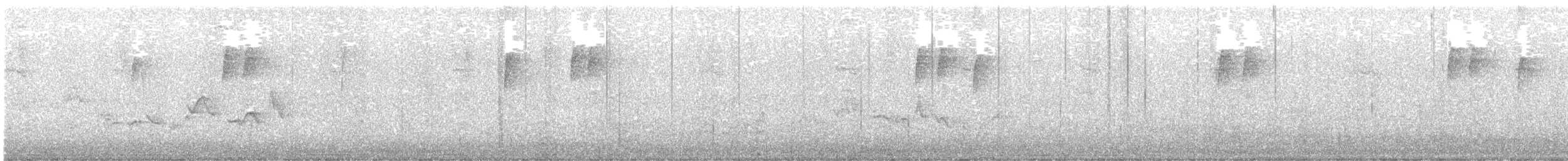 Warbling Vireo - ML642292791