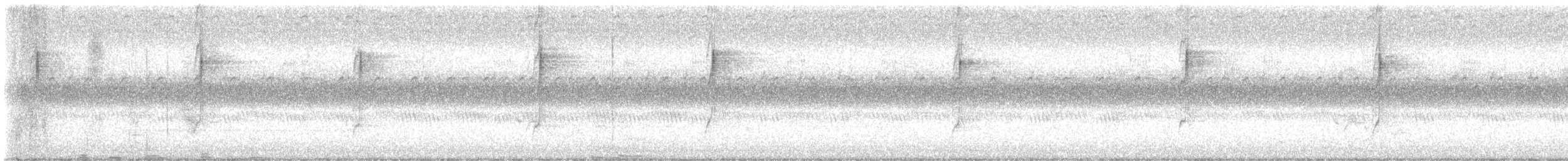 Connecticut Warbler - ML642293475