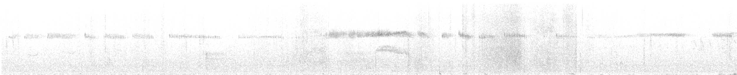 Broad-tailed Hummingbird - ML642295169