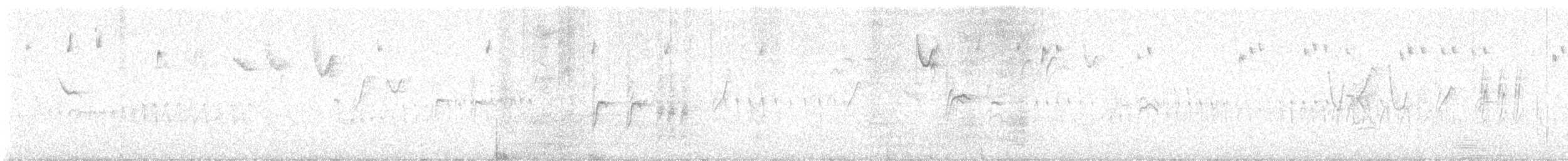 Alpine Swift - ML642295479