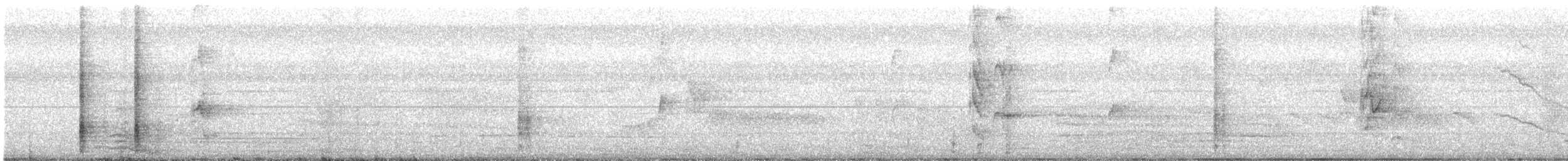 Great-tailed Grackle - ML642295874