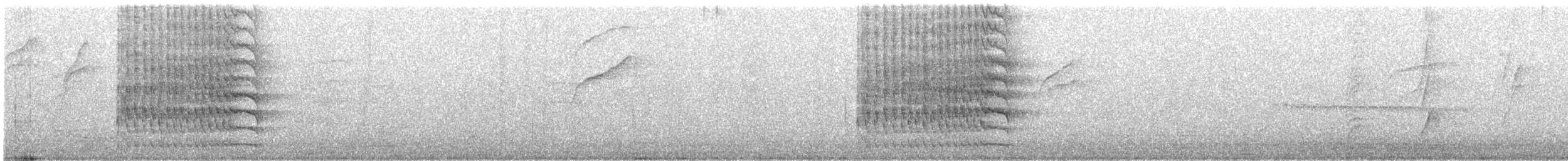 Tyran pitangua - ML642296220