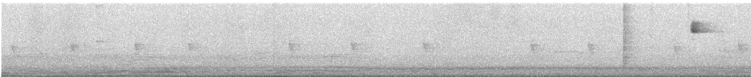 Rufous-backed Wren - ML642296895