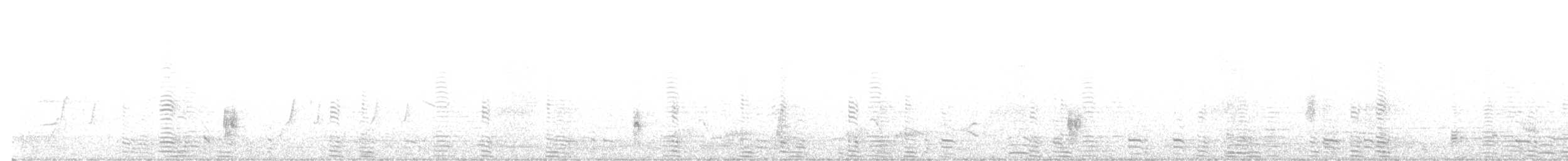 Magpie Goose - ML642297539