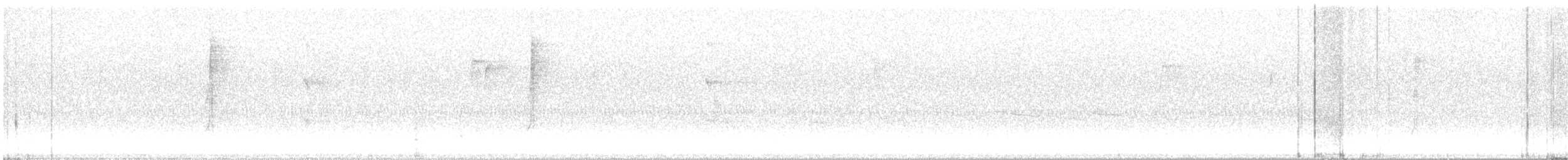 Connecticut Warbler - ML642297906