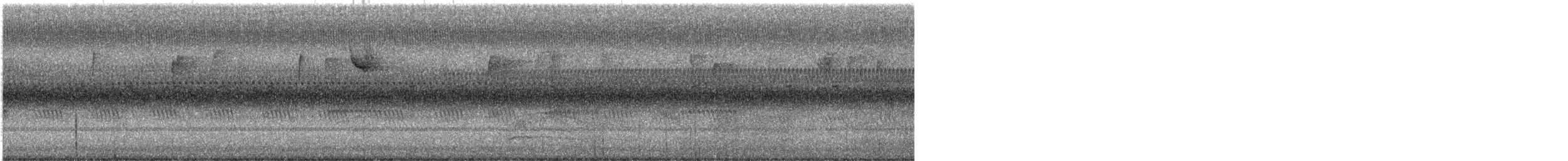 Weißkehlammer - ML642299826